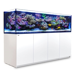 Red Sea REEFER 3XL 900 G2 White Aquarium System